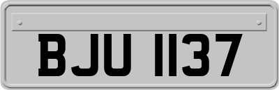 BJU1137