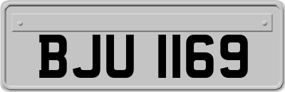 BJU1169