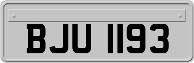BJU1193