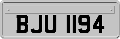 BJU1194