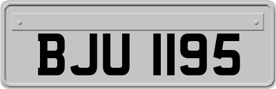 BJU1195