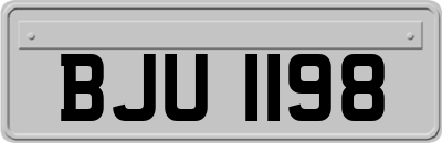 BJU1198