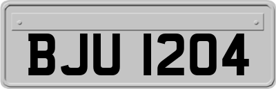 BJU1204