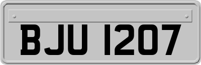 BJU1207
