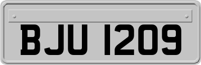 BJU1209