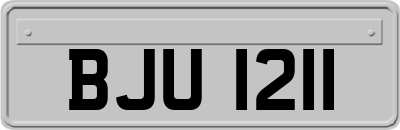 BJU1211
