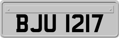 BJU1217