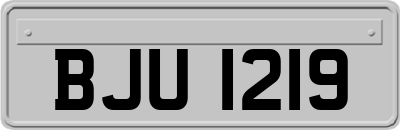 BJU1219