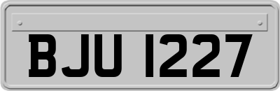BJU1227