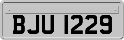 BJU1229