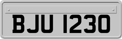BJU1230