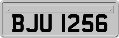BJU1256