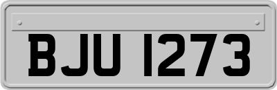BJU1273