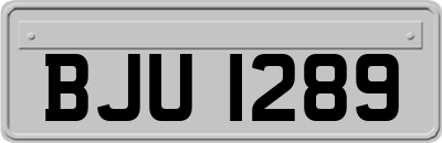 BJU1289