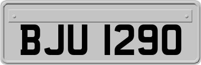 BJU1290