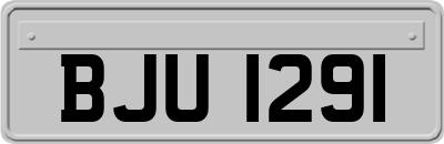 BJU1291
