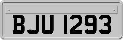 BJU1293