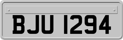 BJU1294