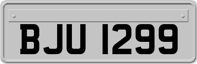 BJU1299