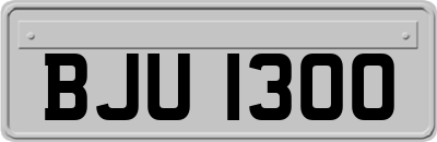 BJU1300