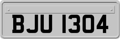BJU1304