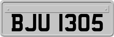 BJU1305