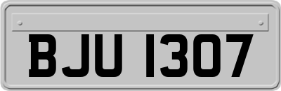 BJU1307