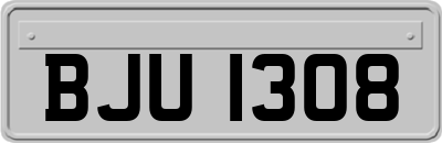 BJU1308