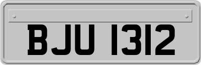 BJU1312