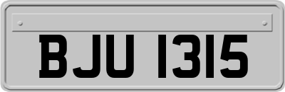 BJU1315