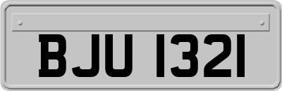 BJU1321
