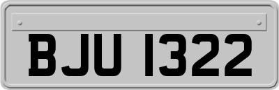 BJU1322