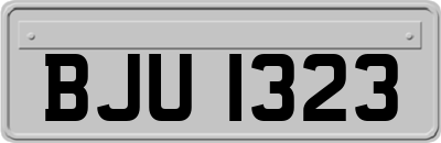 BJU1323