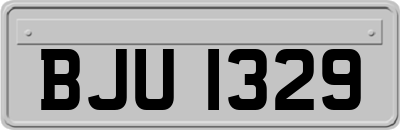 BJU1329