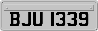 BJU1339