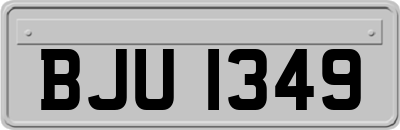 BJU1349