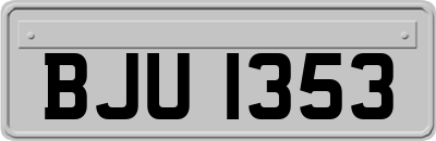 BJU1353