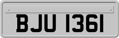 BJU1361