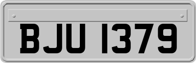 BJU1379