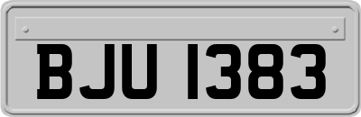 BJU1383