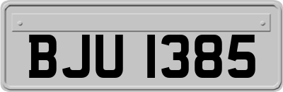 BJU1385