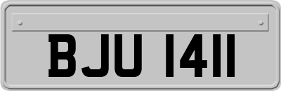 BJU1411