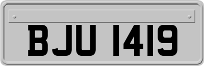BJU1419
