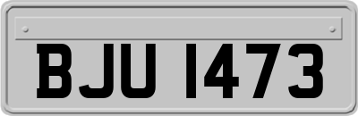 BJU1473