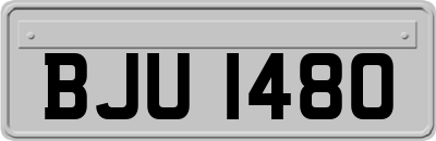 BJU1480
