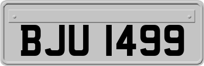 BJU1499