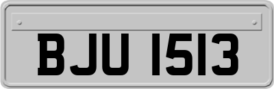 BJU1513