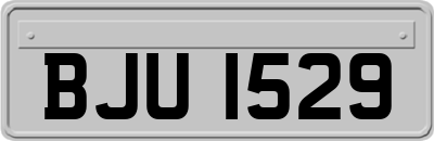 BJU1529