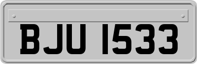 BJU1533