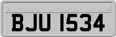 BJU1534